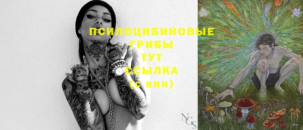 тгк Беломорск