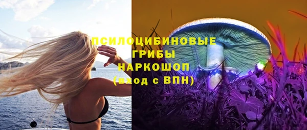 тгк Беломорск